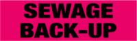Sewage Back-Up