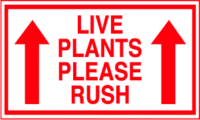 Live Plants Please Rush